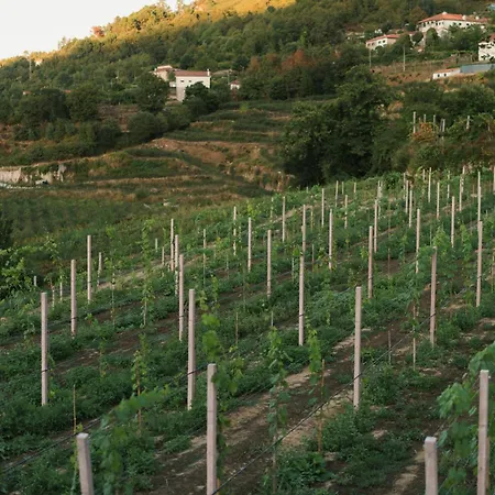 Villa Serpa Pinto Village - By Fero *